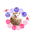 麦ファミリー（個別スタンプ：13）