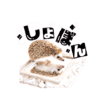 麦ファミリー（個別スタンプ：29）