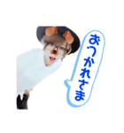 だいちゃん'sスタンプ②（個別スタンプ：2）