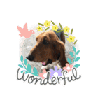 犬のタルトくんスタンプ（個別スタンプ：28）
