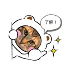 ねこのさすけ（個別スタンプ：8）