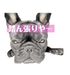 うちのバイエス3（個別スタンプ：1）