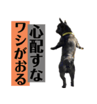 うちのバイエス3（個別スタンプ：2）