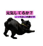 うちのバイエス3（個別スタンプ：4）