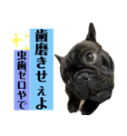 うちのバイエス3（個別スタンプ：5）
