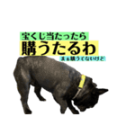 うちのバイエス3（個別スタンプ：6）