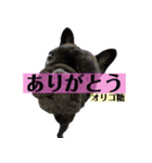 うちのバイエス3（個別スタンプ：14）