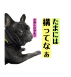 うちのバイエス3（個別スタンプ：16）