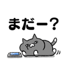 ぷちくまぷちねこ⑤（個別スタンプ：1）