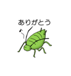 ちょっと、マニアックな虫たち（個別スタンプ：4）