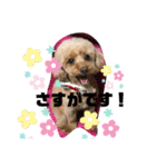 ナラファミリー26（個別スタンプ：1）