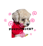 ナラファミリー26（個別スタンプ：2）