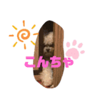ナラファミリー26（個別スタンプ：5）