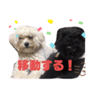 ナラファミリー26（個別スタンプ：8）