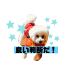 ナラファミリー26（個別スタンプ：10）