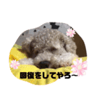 ナラファミリー26（個別スタンプ：12）