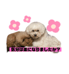 ナラファミリー26（個別スタンプ：15）