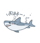 ふんわりサメさんスタンプ（個別スタンプ：1）