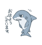 ふんわりサメさんスタンプ（個別スタンプ：2）