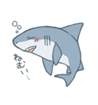 ふんわりサメさんスタンプ（個別スタンプ：4）