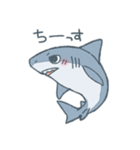 ふんわりサメさんスタンプ（個別スタンプ：5）