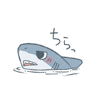 ふんわりサメさんスタンプ（個別スタンプ：6）