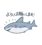 ふんわりサメさんスタンプ（個別スタンプ：12）