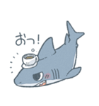 ふんわりサメさんスタンプ（個別スタンプ：13）