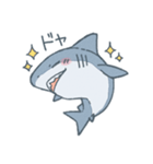 ふんわりサメさんスタンプ（個別スタンプ：24）