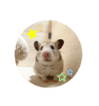 皐月スタンプ。（個別スタンプ：15）
