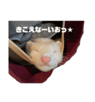 エルちゃん釣り顔（個別スタンプ：1）