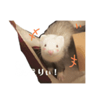 エルちゃん釣り顔（個別スタンプ：3）