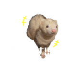 エルちゃん釣り顔（個別スタンプ：6）