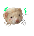 エルちゃん釣り顔（個別スタンプ：7）