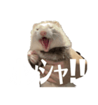 エルちゃん釣り顔（個別スタンプ：8）