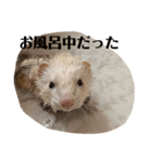 エルちゃん釣り顔（個別スタンプ：14）