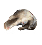 エルちゃん釣り顔（個別スタンプ：15）