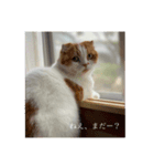 きなちのスタンプ。（個別スタンプ：1）