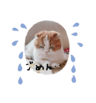 きなちのスタンプ。（個別スタンプ：2）