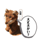 黒豚ぶったと田中の超汎用性スタンプ1（個別スタンプ：5）