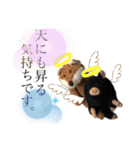 黒豚ぶったと田中の超汎用性スタンプ1（個別スタンプ：9）