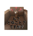黒豚ぶったと田中の超汎用性スタンプ1（個別スタンプ：12）