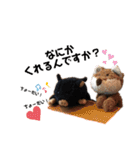 黒豚ぶったと田中の超汎用性スタンプ1（個別スタンプ：16）