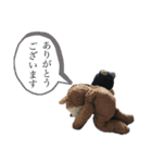 黒豚ぶったと田中の超汎用性スタンプ1（個別スタンプ：29）