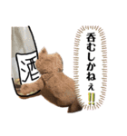 黒豚ぶったと田中の超汎用性スタンプ1（個別スタンプ：30）