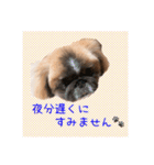 ギブミースマイル2（個別スタンプ：2）