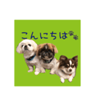 ギブミースマイル2（個別スタンプ：3）