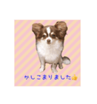 ギブミースマイル2（個別スタンプ：4）