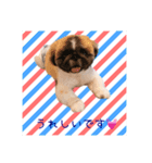 ギブミースマイル2（個別スタンプ：5）