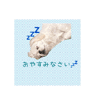 ギブミースマイル2（個別スタンプ：6）